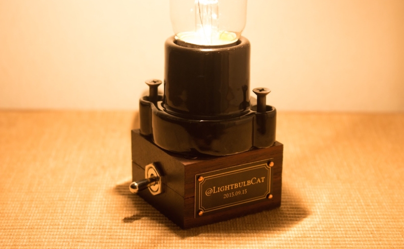 LightbulbCat#1: The Switch Box